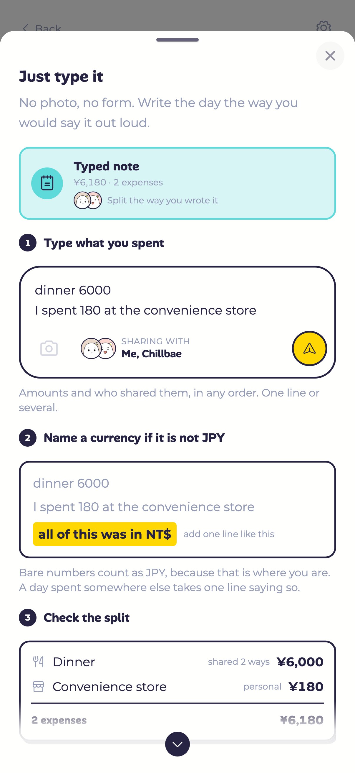 The "Just type it" drawer: how to write a note, how to name a currency, and how the split comes out